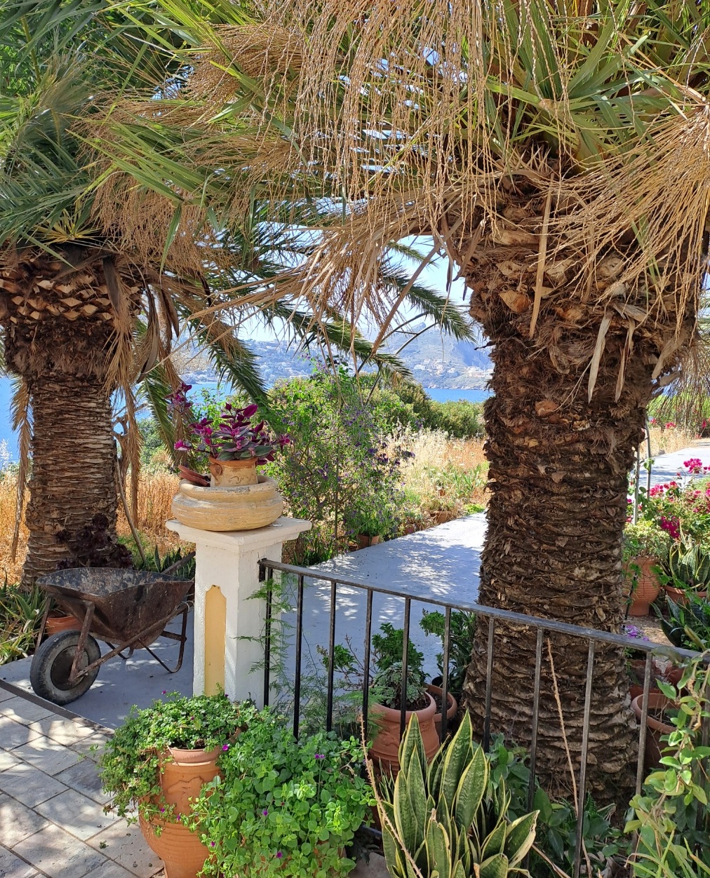 Indgangen ved Porto Potha Hotel