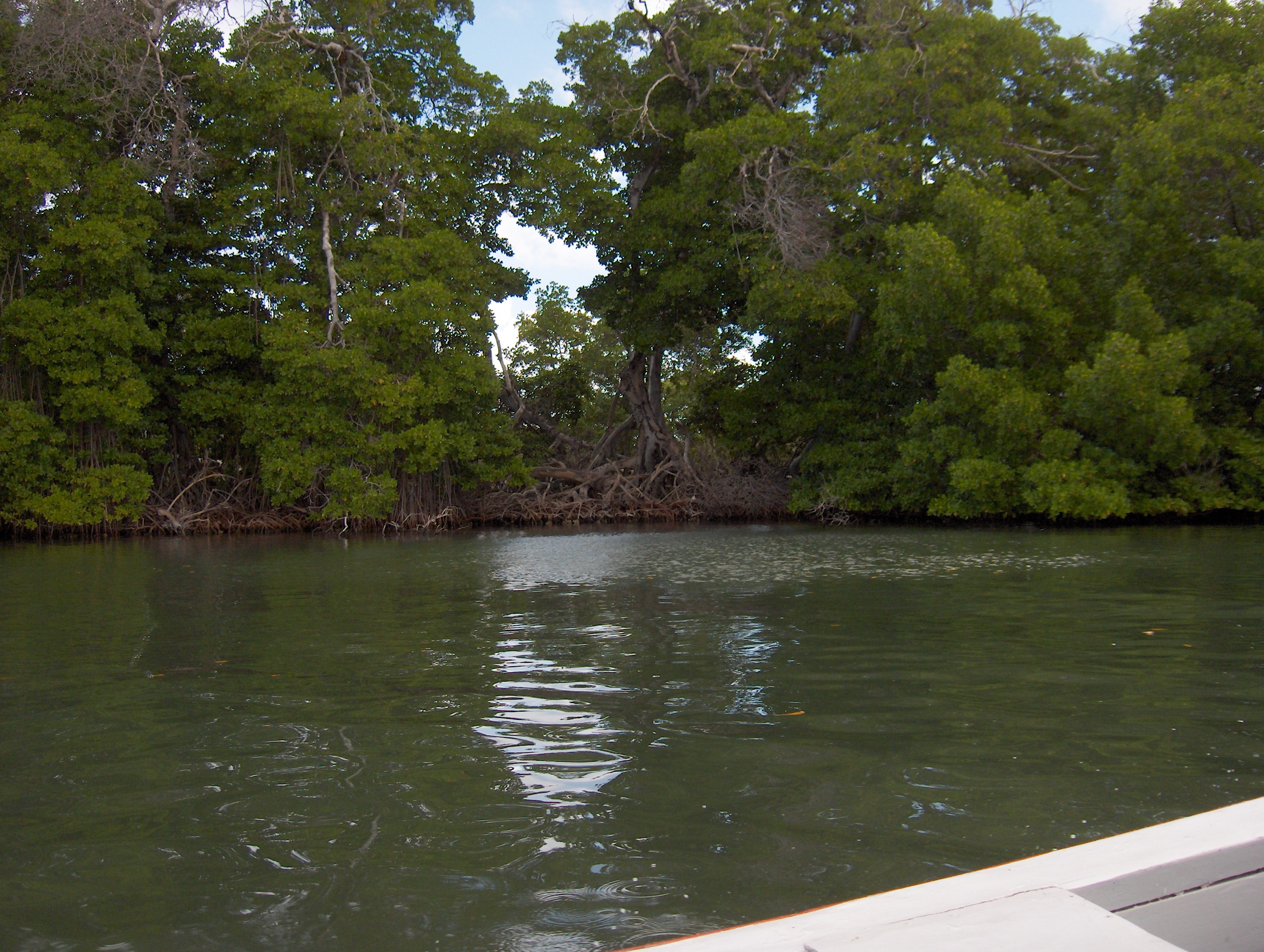 Laguna de la Restinga