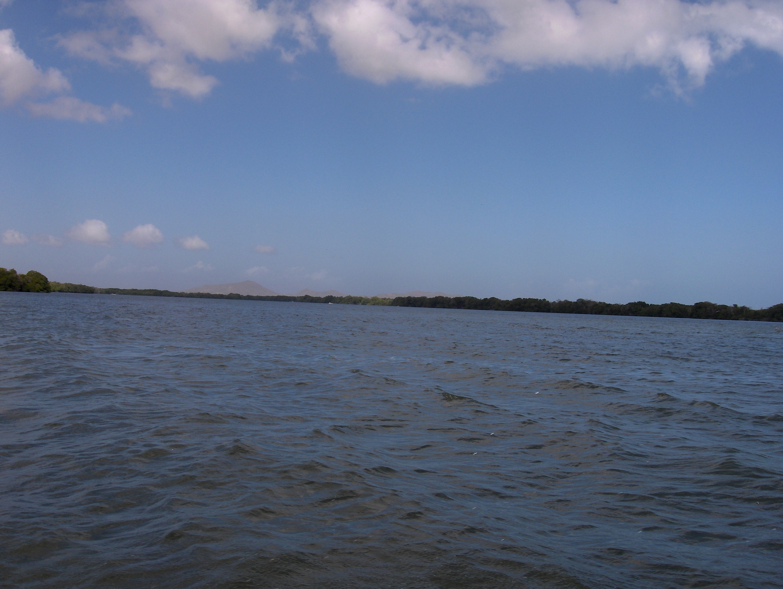 Laguna de la Restinga