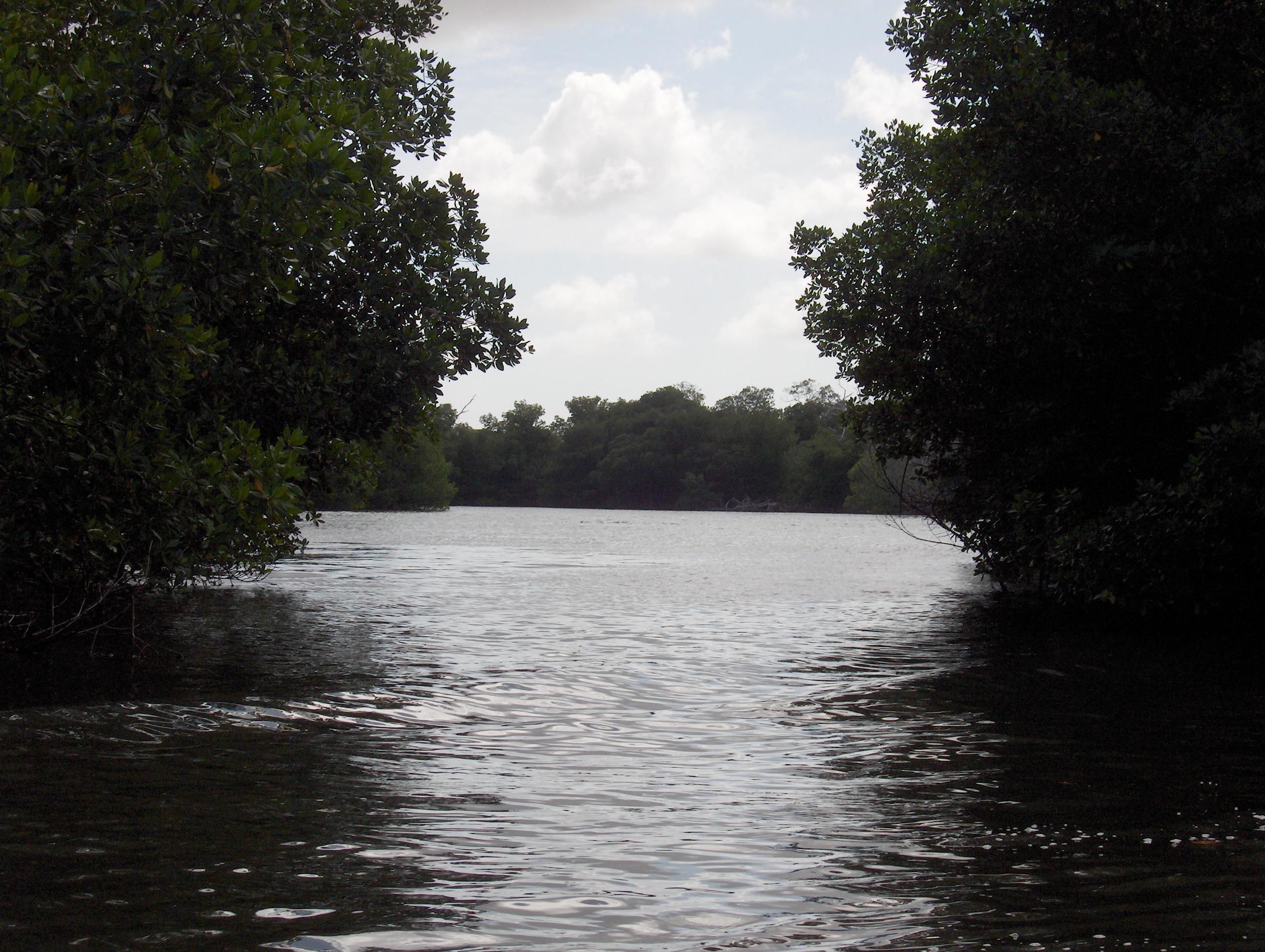 Laguna de la Restinga