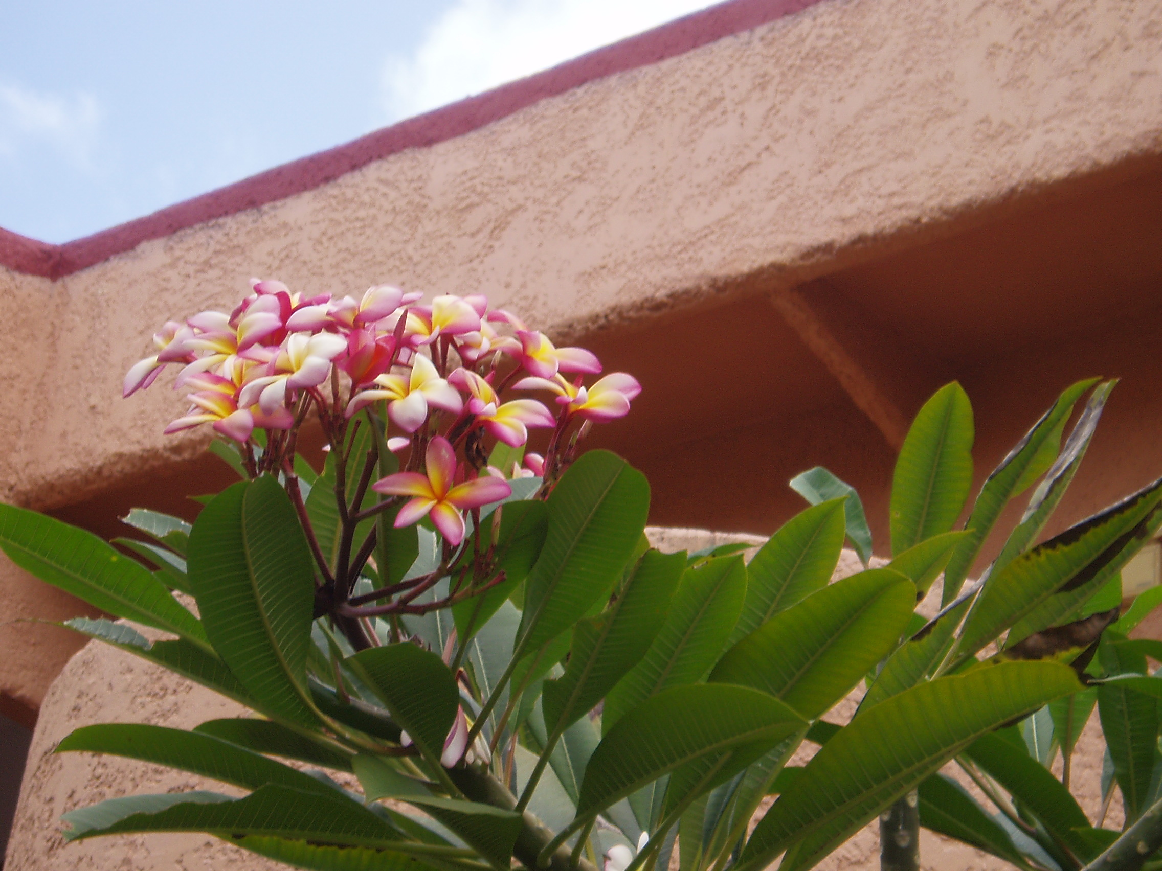 Margarita 082.jpg