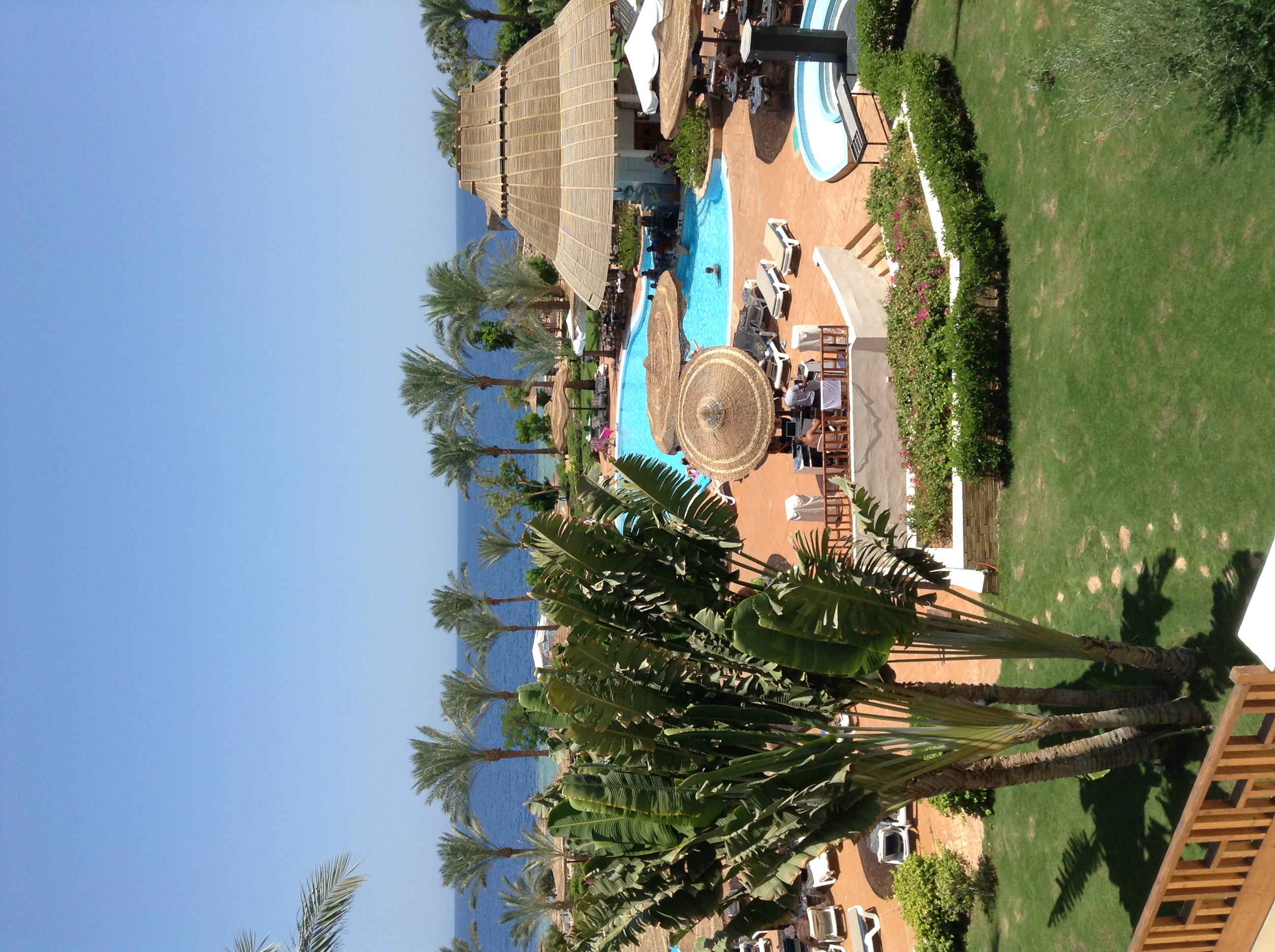 Poolområdet ii resorten Royal Grand Sharm