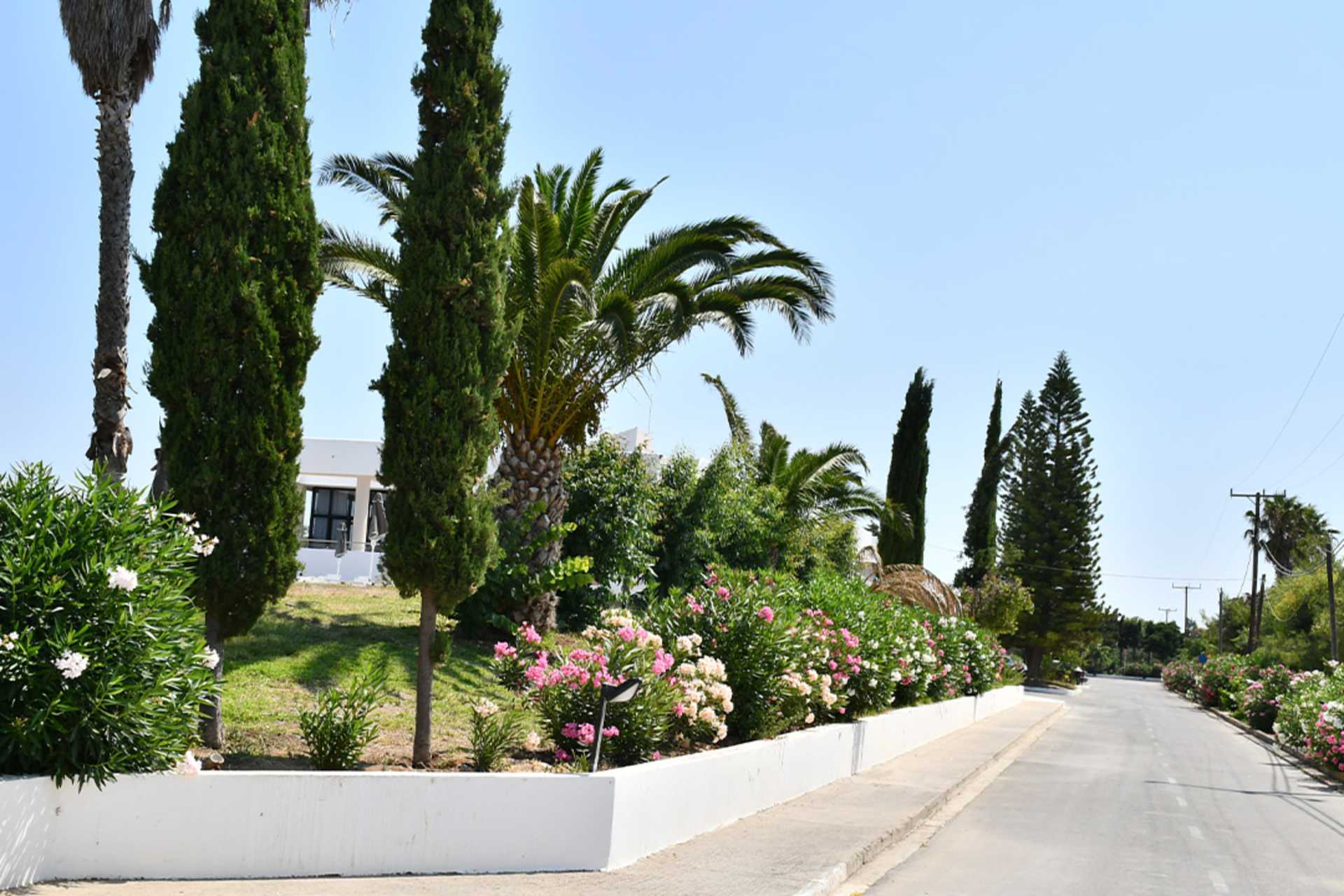 Indkørsel til Hotel Cavo Mediterraneo på Kos