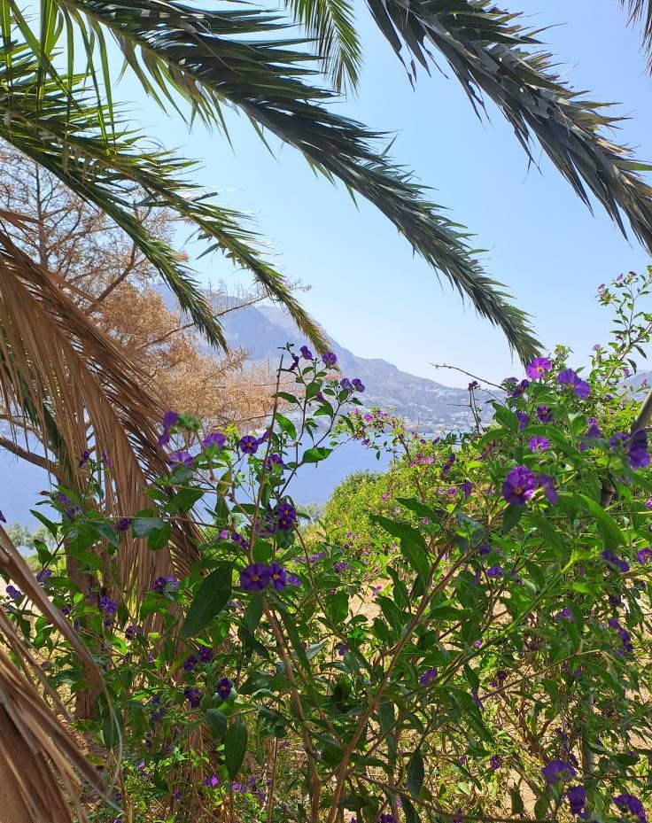 Udsigt fra hotel indgang mod Kalymnos